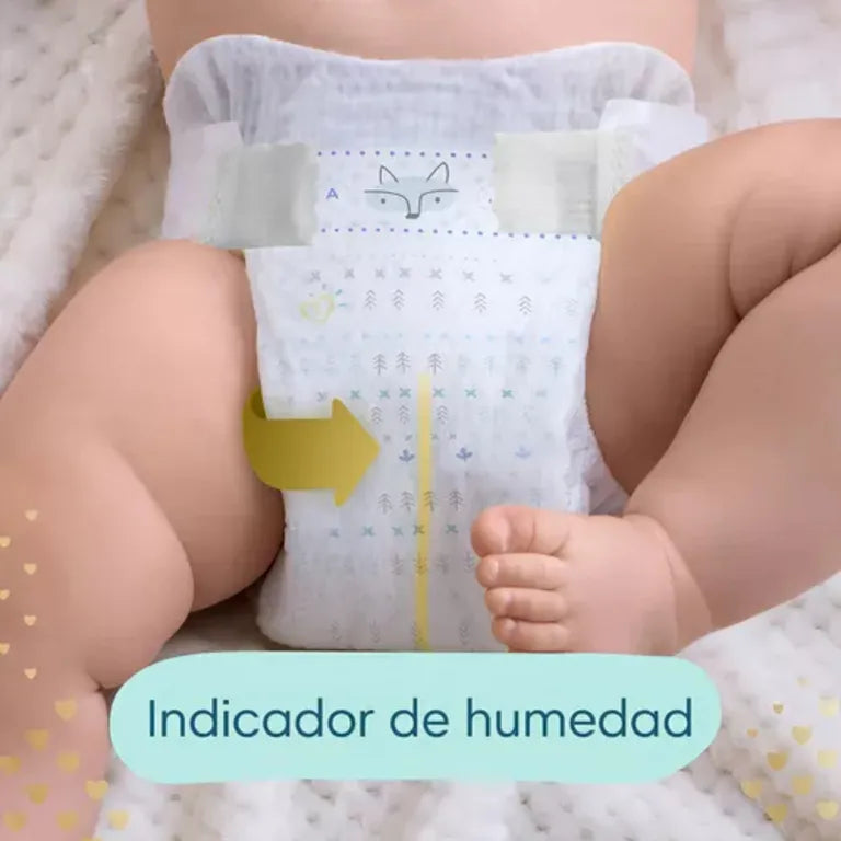 Combo Pañales Pampers Deluxe Protection Talle Xxg X 176 Un
