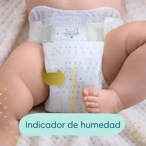 Combo Pañales Pampers Deluxe Protection Talle Xxg X 176 Un